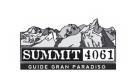 Summit 40061