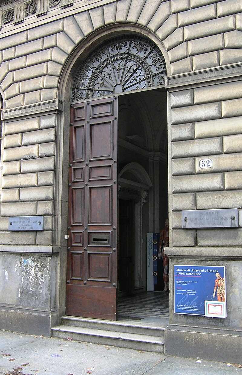 museo di anatomia umana luigi rolando