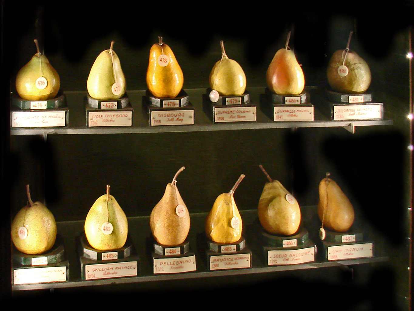 museo della frutta torino